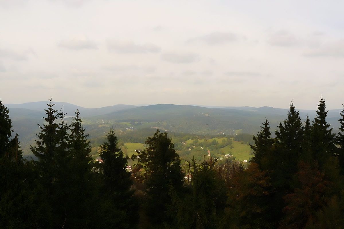 Výhled přes stromy na horskou krajinu